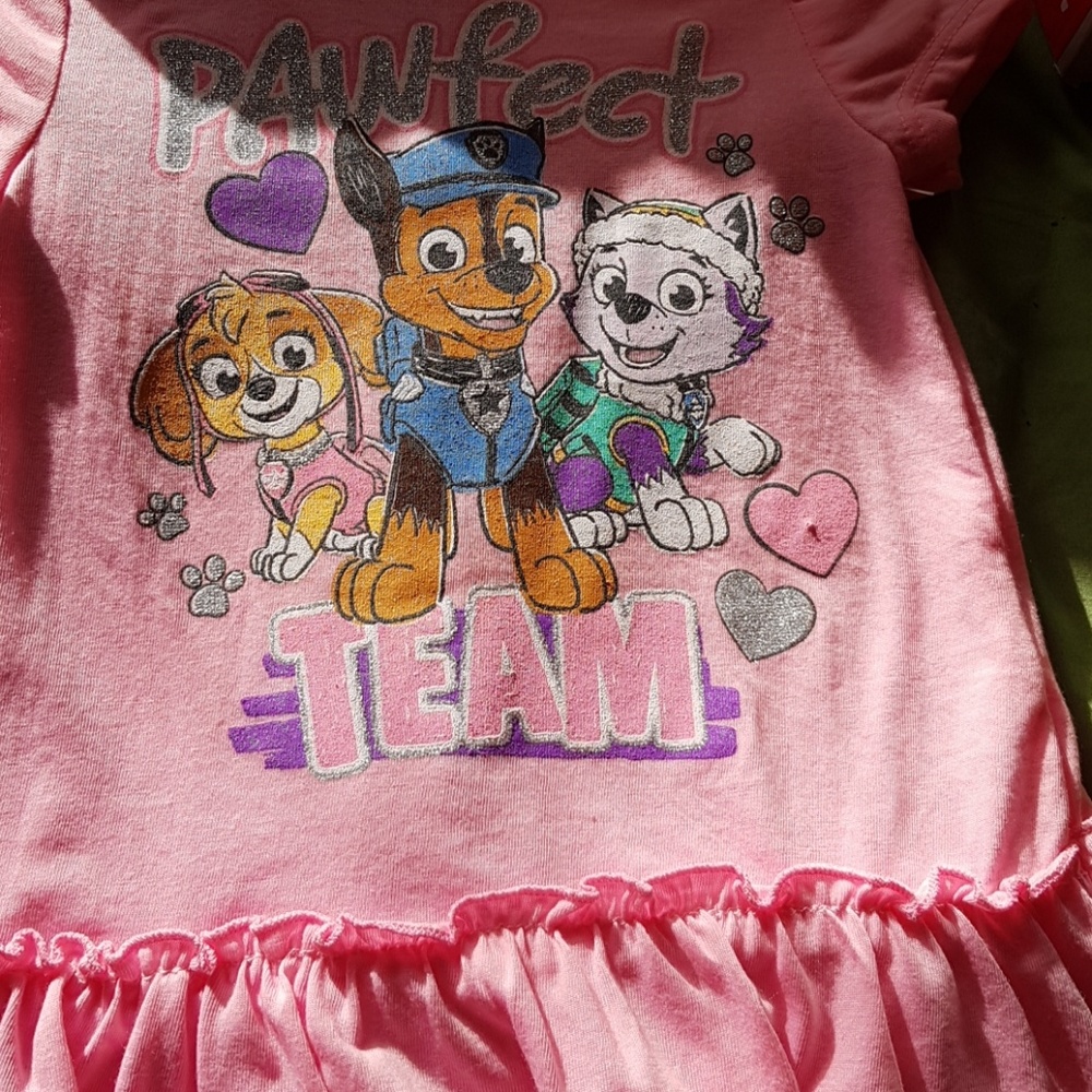 Paw patrol outfit